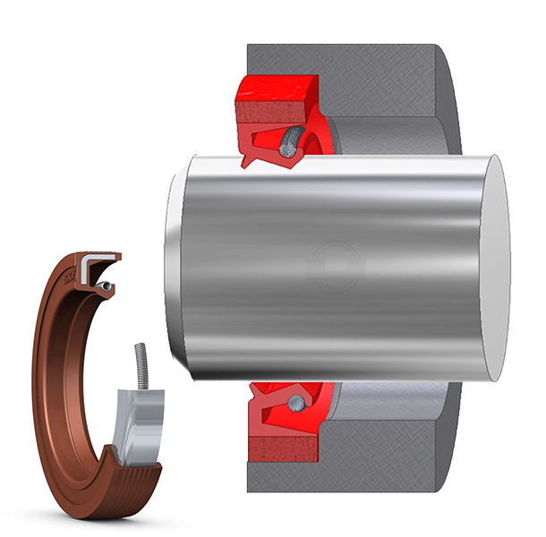 oil seal